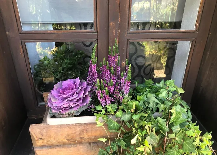 Casa vacanza: Ancienne Maisonnette